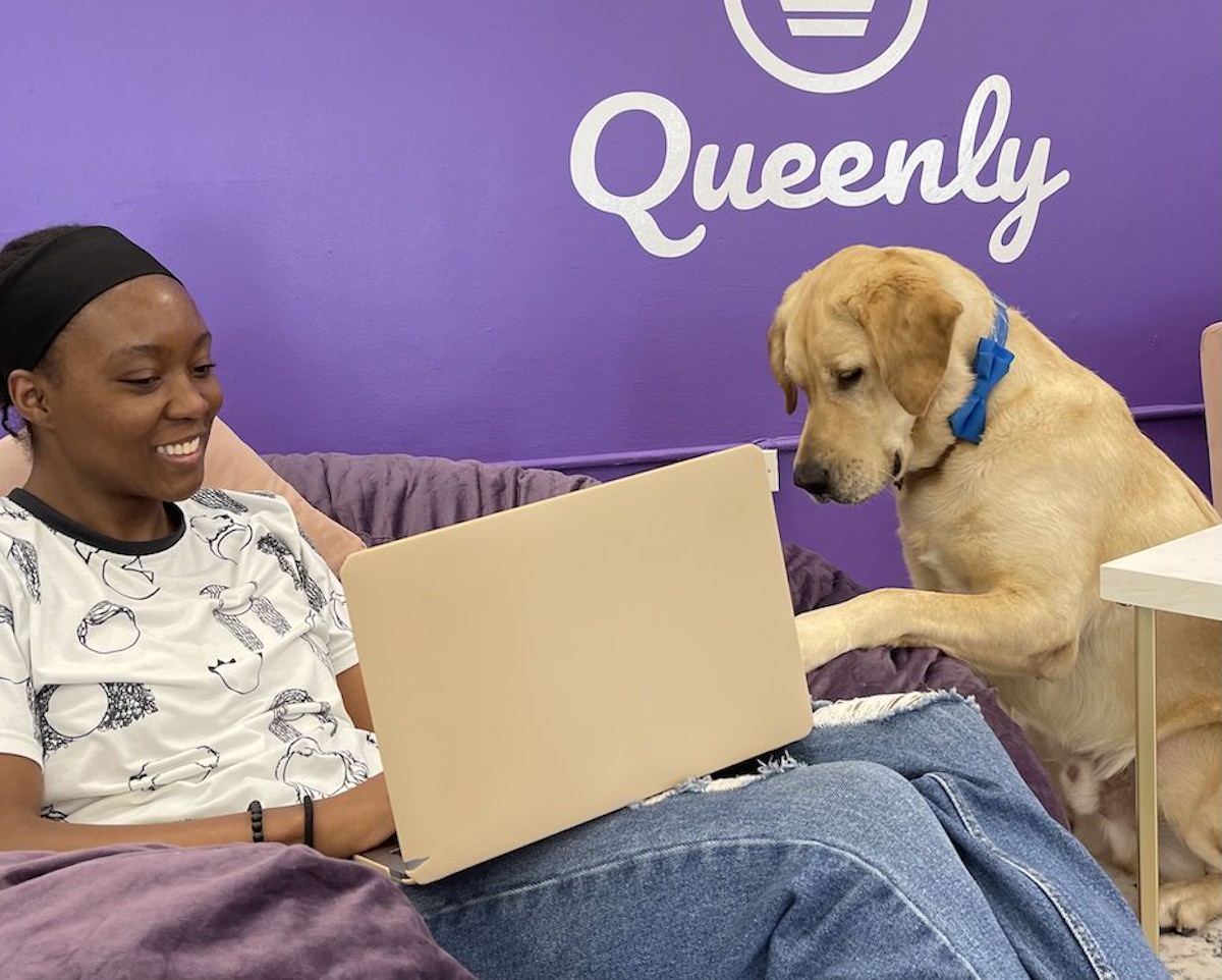 Life at the Queenly Office, Pet friendly office